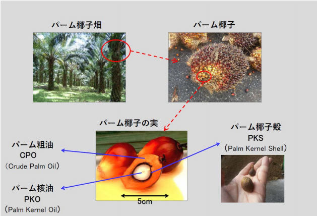 タイナビNS