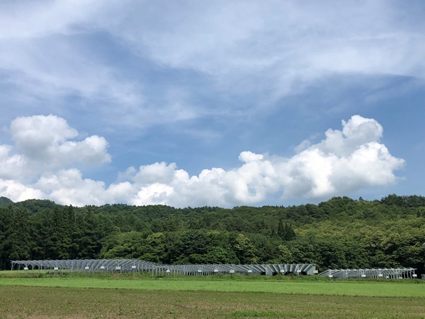 タイナビNS