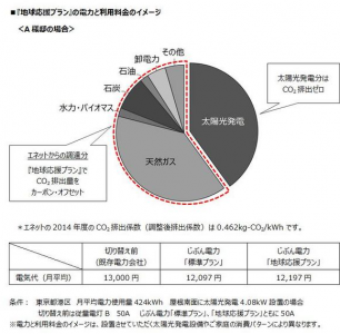 日本エコシステム