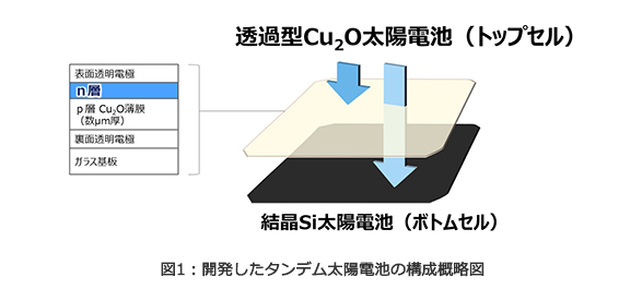 タイナビNS