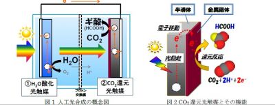 豊田中央研究所