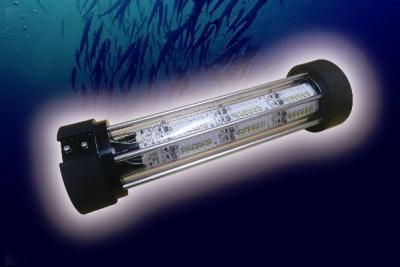 LED