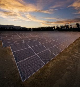 eco