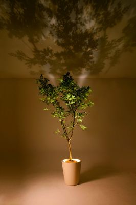 LEDインテリア照明