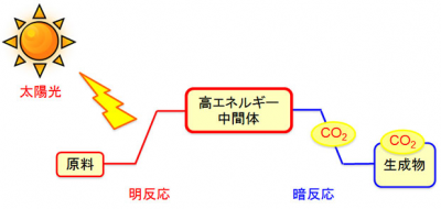 二酸化炭素