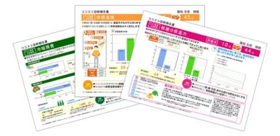 ココエコ診断