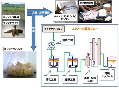 バイオマス燃料