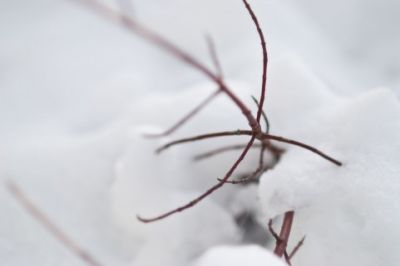 除雪