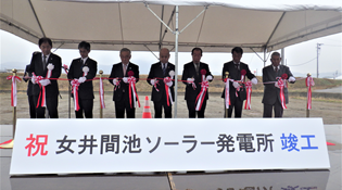 タイナビNS