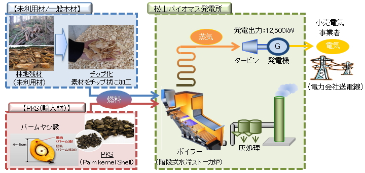 タイナビNS