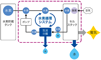 タイナビNS