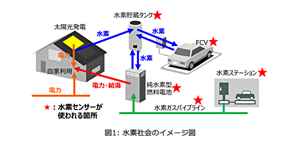 タイナビNS