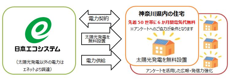 電力自由化